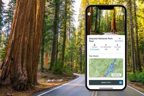 Visite audio libre du parc national de Sequoia