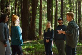 Redwoods Forest Bathing