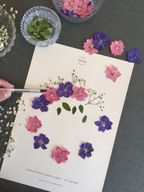 Atelier - Réalisez votre herbier de fleurs séchées