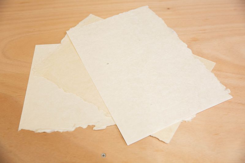 Atelier - Réalisez votre papier à partir de coton