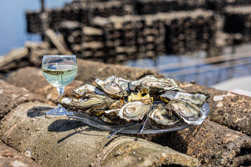 Atelier - Visitez une cabane et dégustez des huitres