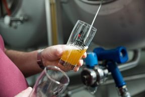 Atelier - Visitez une micro-brasserie et dégustez des bières