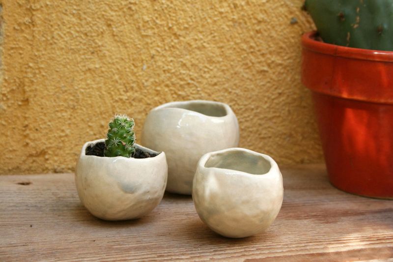 Atelier - Modelez vos pots de fleurs en céramique