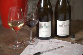 Atelier - Dégustez des vins des Condrieu et Côte-Rôtie