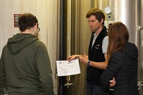 Atelier - Visitez un domaine viticole et dégustez des vins