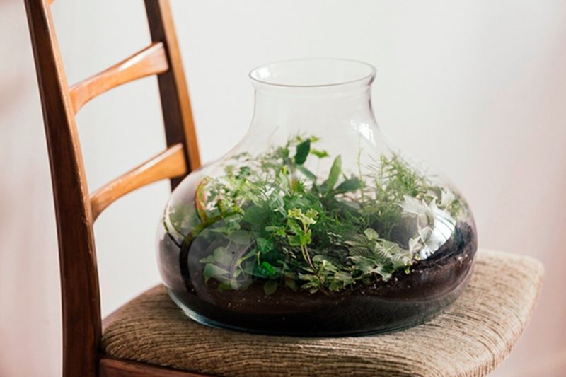 Atelier - Composez votre terrarium de taille L
