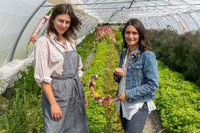 Atelier - Créez votre couronne de fleurs séchées