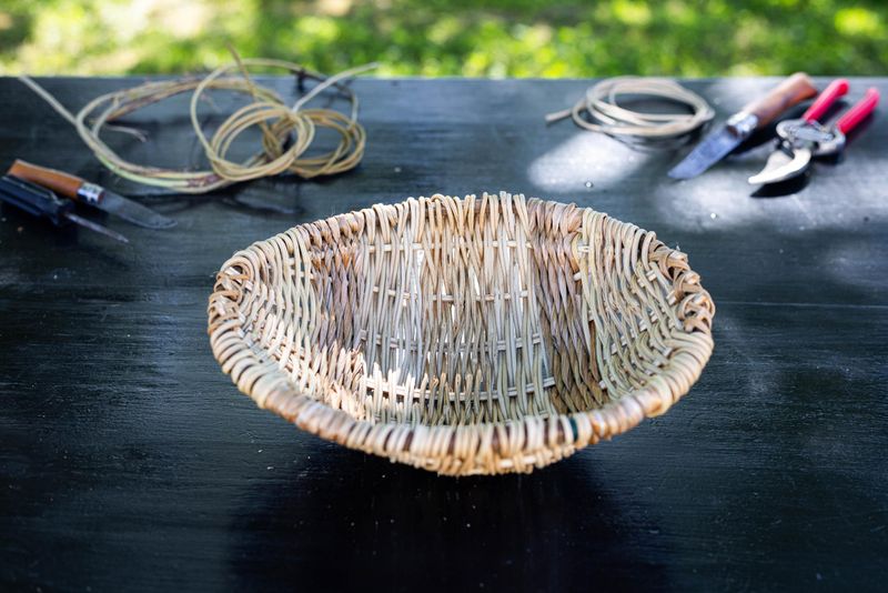 Atelier - Initiez-vous à la vannerie sauvage et ancestrale.