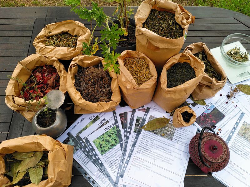 Atelier - Créez votre propre tisane avec Elise