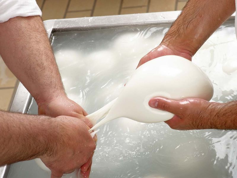 Atelier - Réalisez votre mozzarella et tresse artisanales