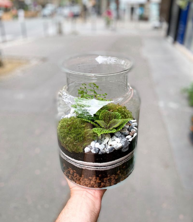 Atelier - Créez et composez votre terrarium (taille L)